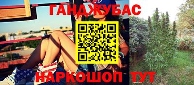 индика Наро-Фоминск