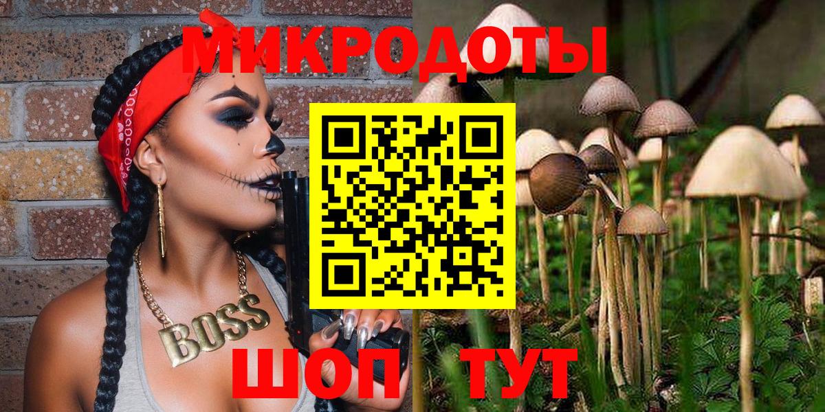 Псилоцибиновые грибы мицелий  Галлюциногенные грибы MAGIC MUSHROOMS  где купить наркоту  Электросталь  Вход с VPN 